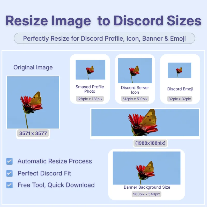 image-resize-discord