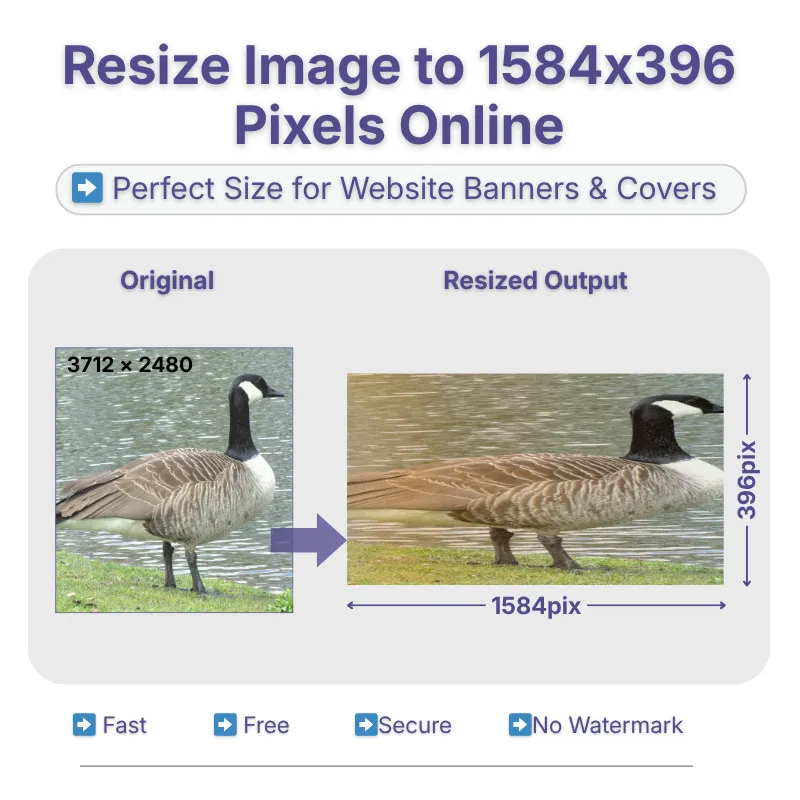 resize-image-to-1584x396