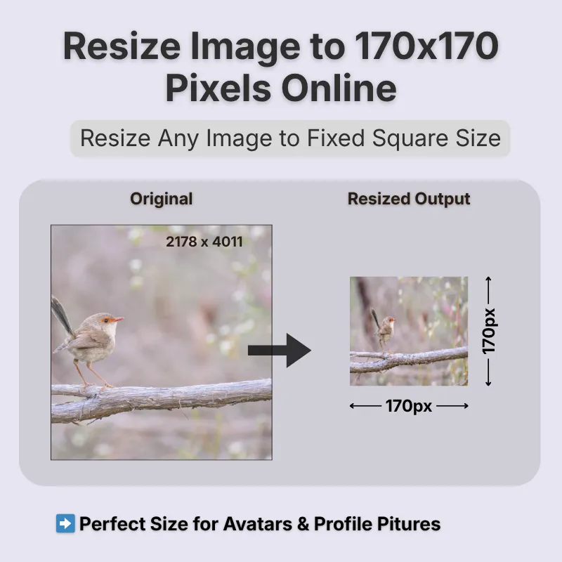 resize-image-to-170x170