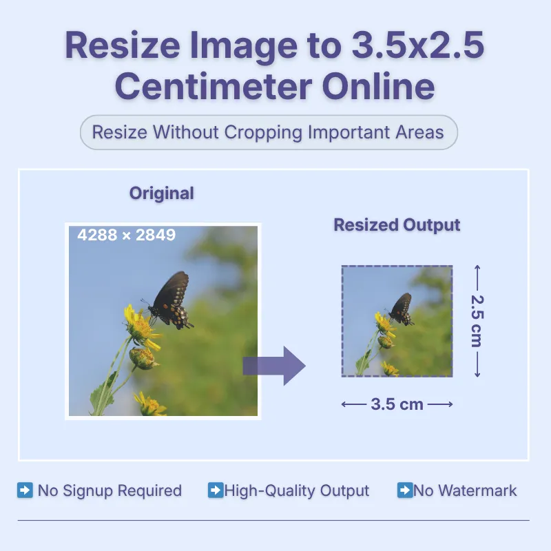resize-image-to-3-5x2-5cm