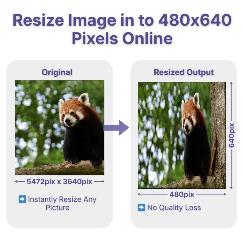 resize-image-to-480x640