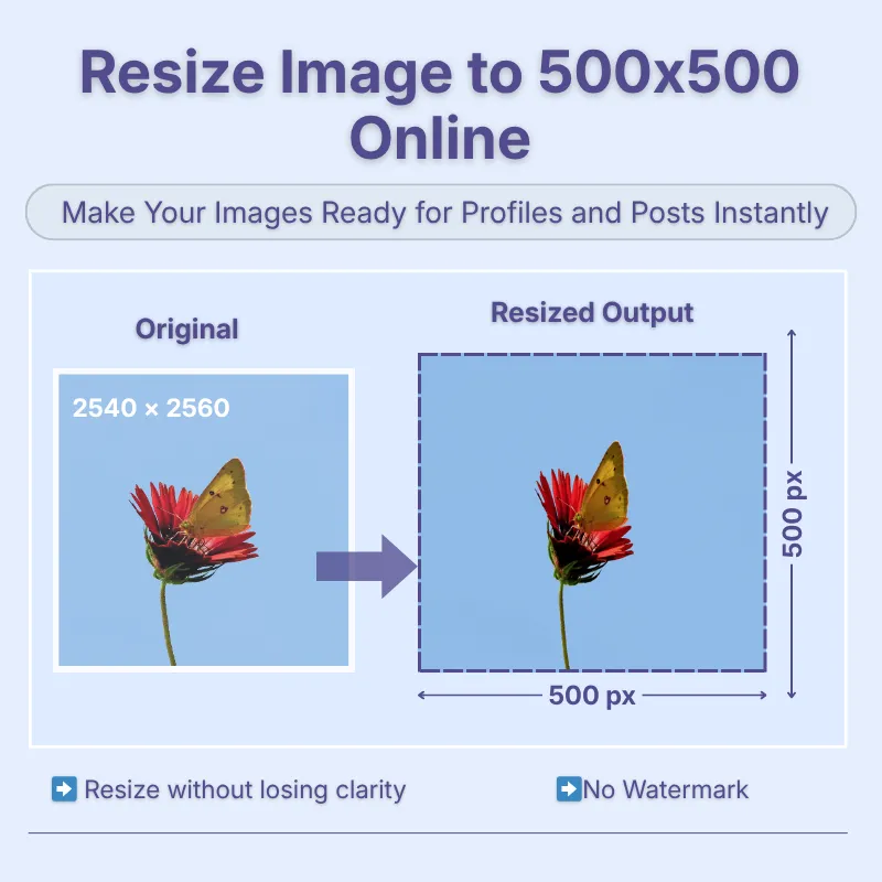 resize-image-to-500x500